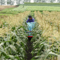 story-saitofarm-2