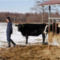 story-suzukifarm-2